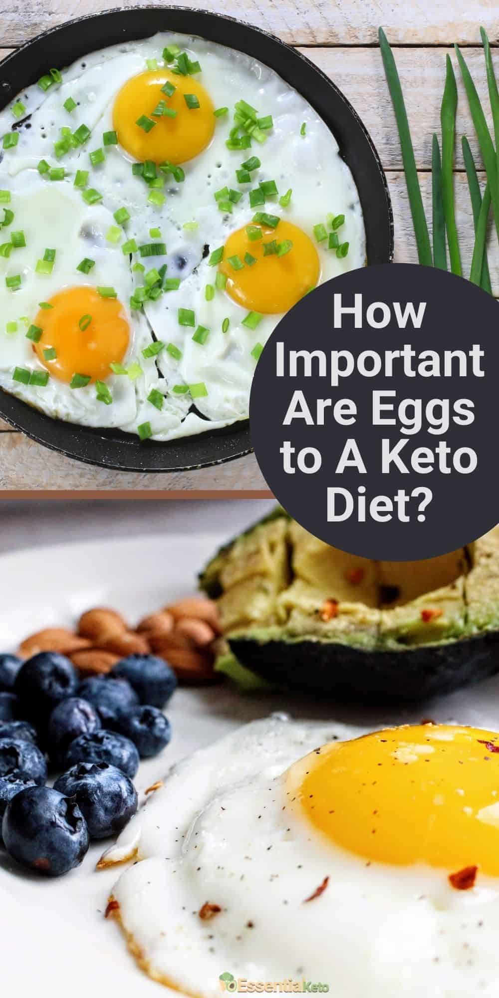 How Important Are Eggs to a Keto Diet Essential Keto